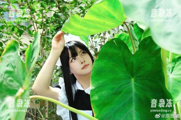 图片里的白莉爱吃巧克力空姐，发布的最新作品是否也适合我这种“空乘”小白？